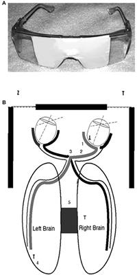 Dual-Brain Psychology: A novel theory and treatment based on cerebral laterality and psychopathology